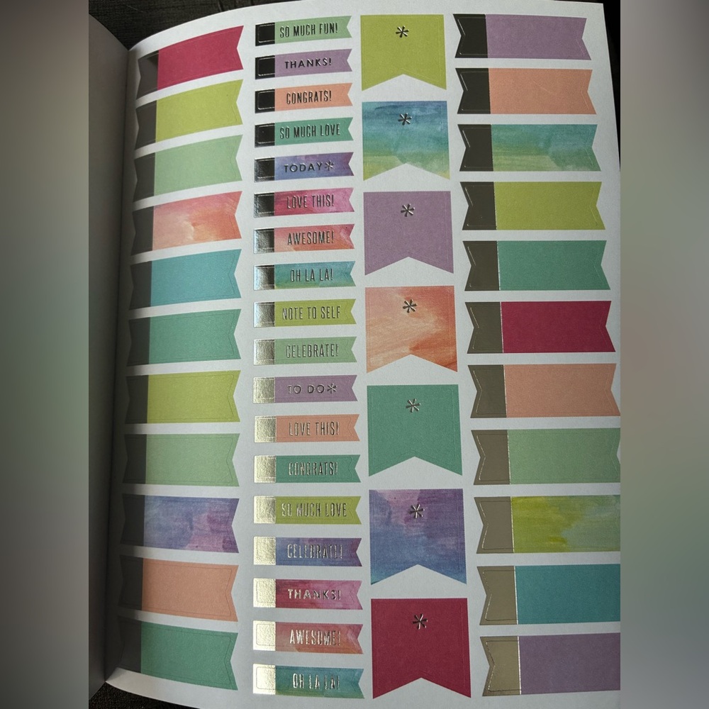 Erin Condren Colorful Decorative Stickers Set